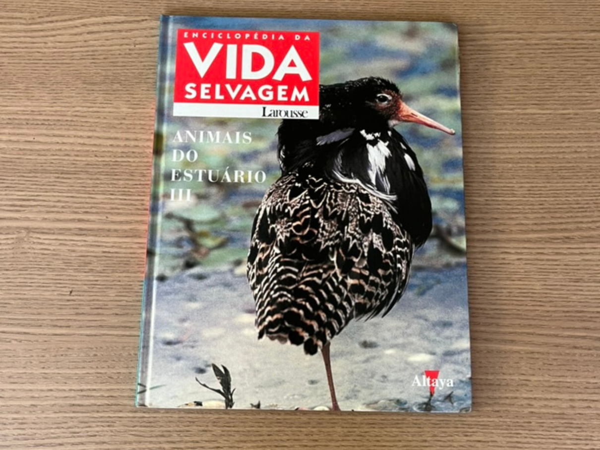 Animais do estuário III